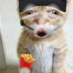 Profile image of Gman2332