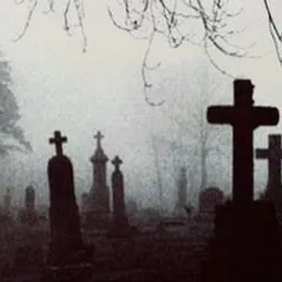 Profile image of Zyxqu