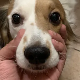 Profile image of Gomez151