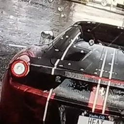 Profile image of Megladon8_786