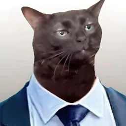 Creator image
