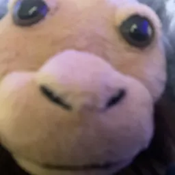 Profile image of Austinteno