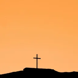 Creator image