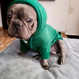 Profile image of yuka