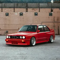 Profile image of fishy