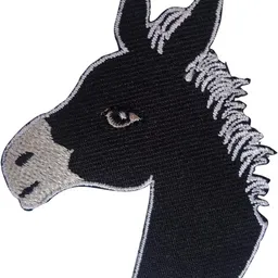 Creator image