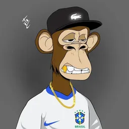 Profile image of Couto 