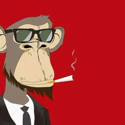 Profile image of Yogiii