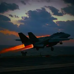 Profile image of Oh shucks