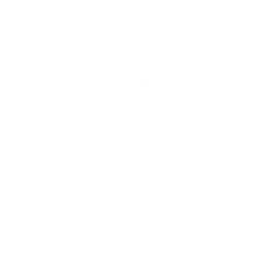 Profile image of synavelli