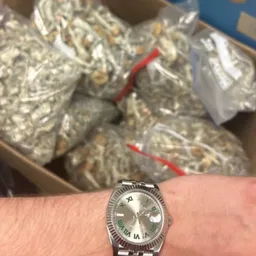 Profile image of Sxllent