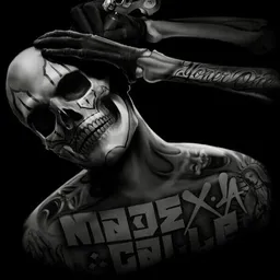 Profile image of Xsterpro