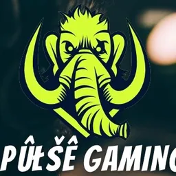 Profile image of Püłşê Gaming 