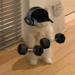 Profile image of Ouss