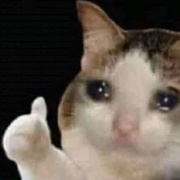 Profile image of Polina_Zachou