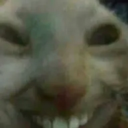 Profile image of lil_baby_kletus