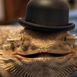 Profile image of thebritishlizard