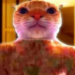 Creator image