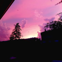 Profile image of Alcalde_4