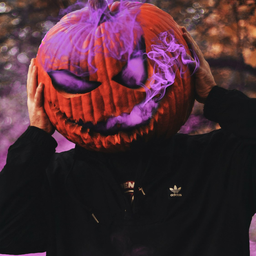 Creator image