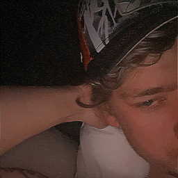 Profile image of Vestlundarn