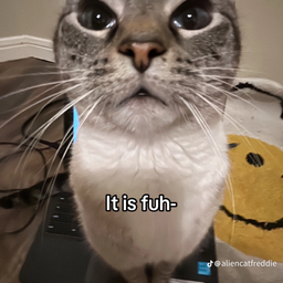 Profile image of TTV QC axefournier