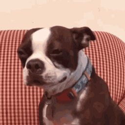 Profile image of User73567942