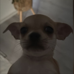 Profile image of Mike_istlost