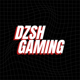 Profile image of DZSH Gaming