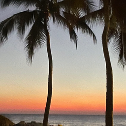 Profile image of ozzykins