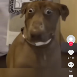 Profile image of R_al_ph 