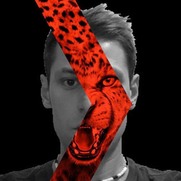 Profile image of Kr1Zzy