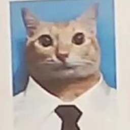 Profile image of Seba49 