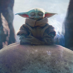 Profile image of Fseixas