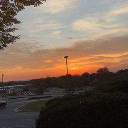 Profile image of Yule 