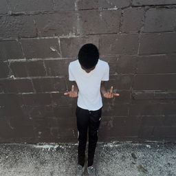 Creator image