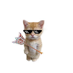 Profile image of ..𝑻𝒊𝚖🥀🧸