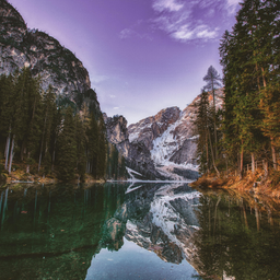 Profile image of GoonerFn