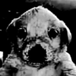 Profile image of Ligmaer von Beethoven