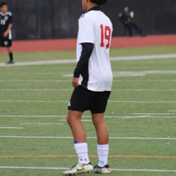 Profile image of Tickle