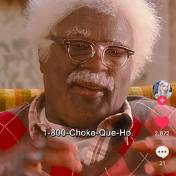Profile image of CHOKE DAT HO