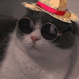 Profile image of bierzord