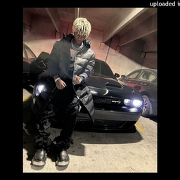 Profile image of cxrtier_vip