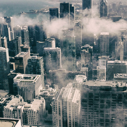 Profile image of Xenon