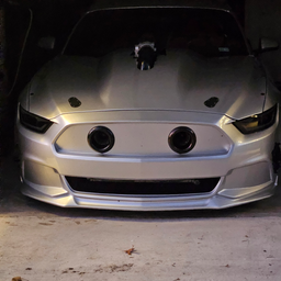 Profile image of Mrmow