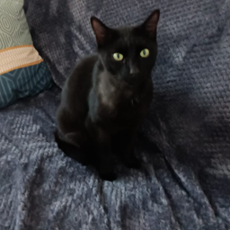 Profile image of (fksc) REGIOO