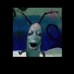 Creator image