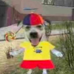 Profile image of LordSquish