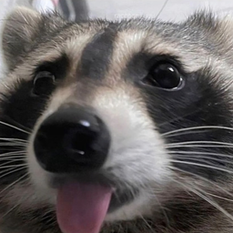 Profile image of Big brain