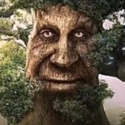 Creator image